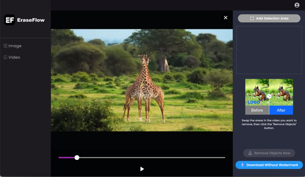 Video Watermark Removal Introduction